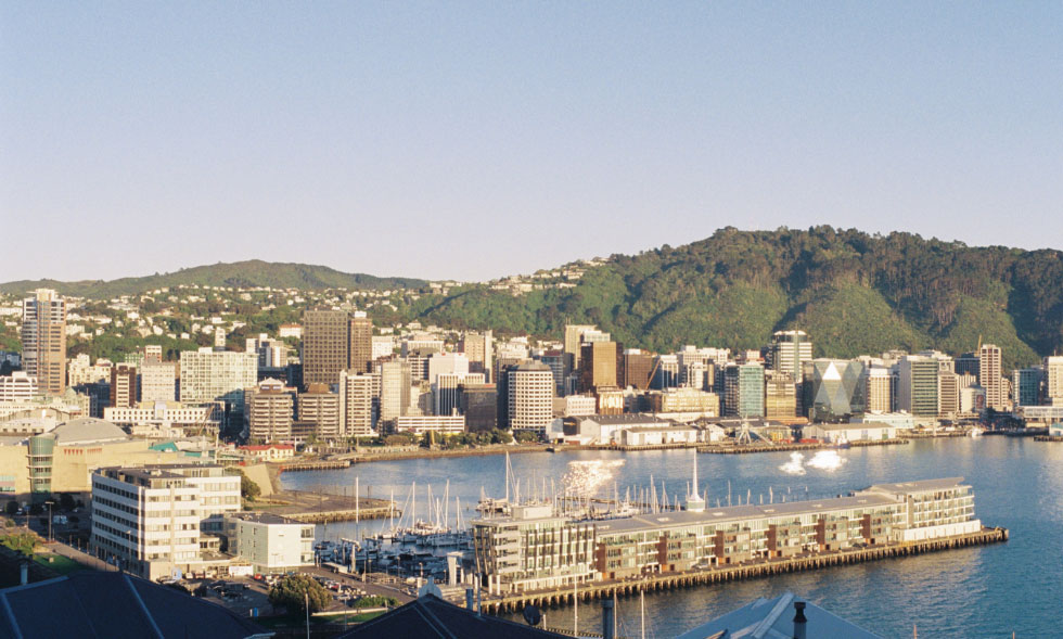 Wellington Real Estate – A year in Review
